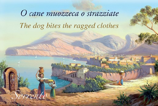 O cane muozzeca o strazziate - The dog bites the ragged clothes